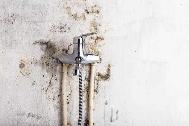 Water Damage Restoration in Santa Paula, CA
