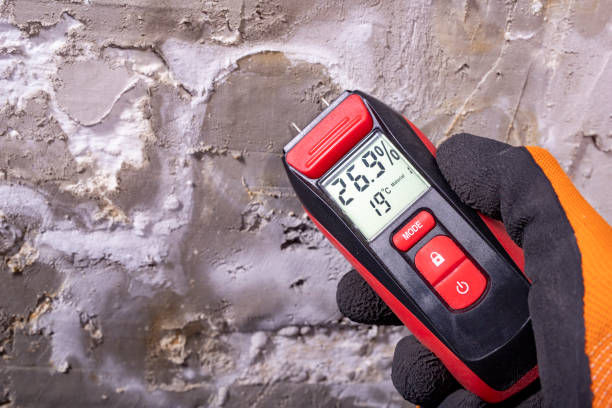 Professional Mold Removal in Santa Paula, CA